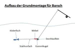 aufbau-barschgrundmontage