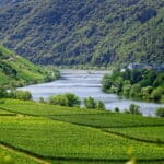 Angeln auf Hecht an der Mosel