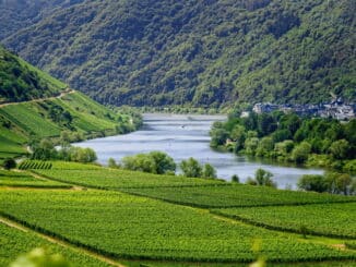 mosel-angeln