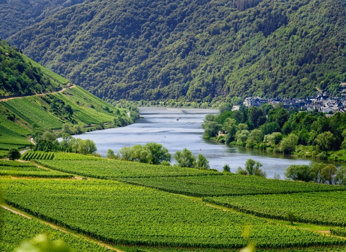 mosel-angeln