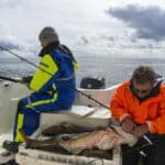 Angelurlaub an der Nordsee