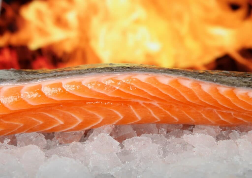 lachs_mit_viel_omega_3