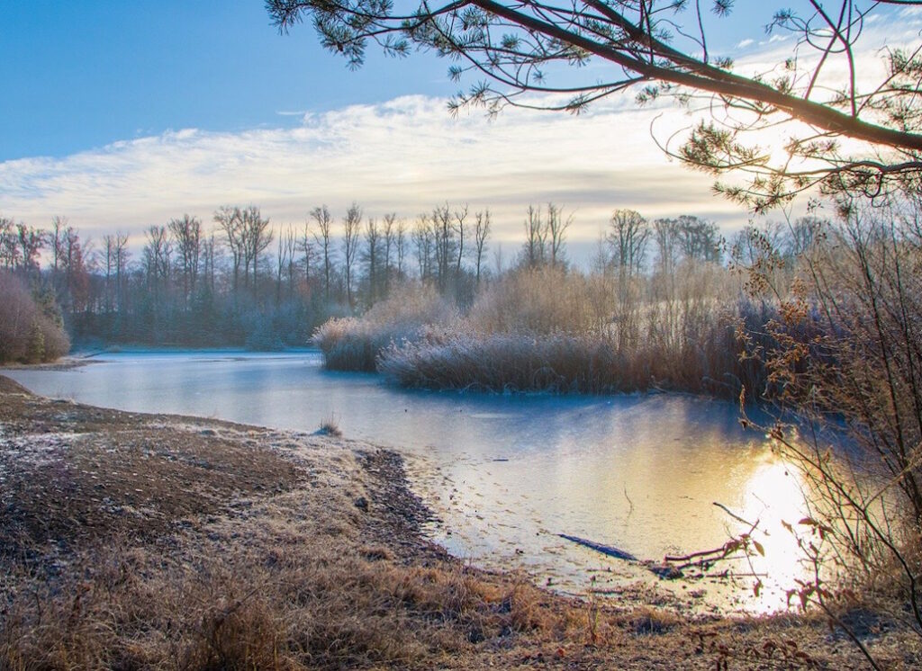 sonneneinstrahlung_in_winterlichen_see