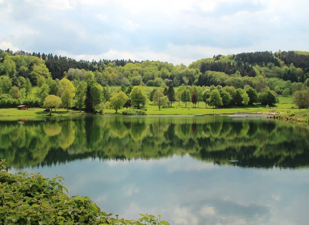 der_rursee_hotspot_zum_barschangeln
