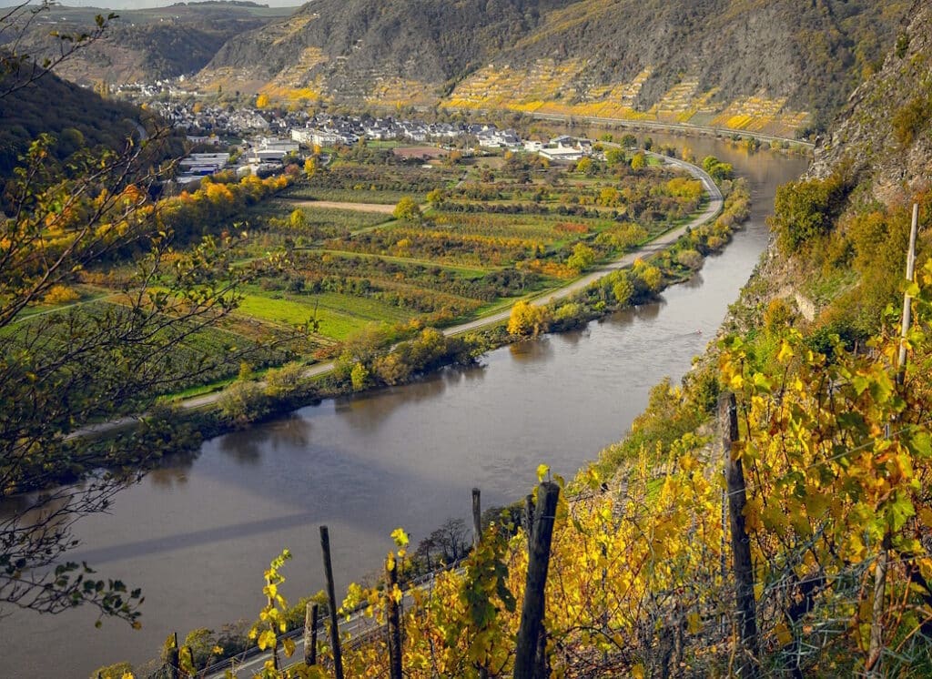 die_mosel_hotspot_zum_barschangeln