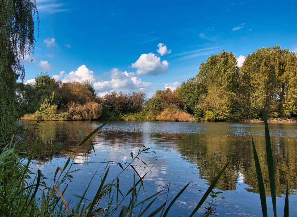 angeln_karpfenteich