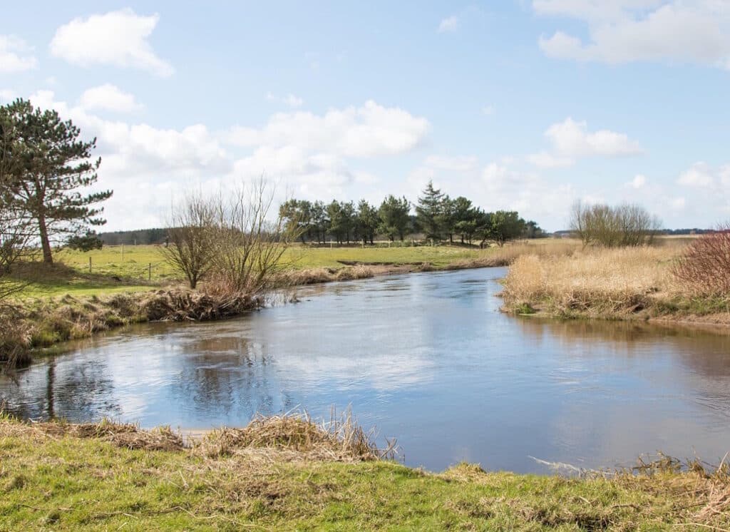 fluss_fliegenfischen_daenemark