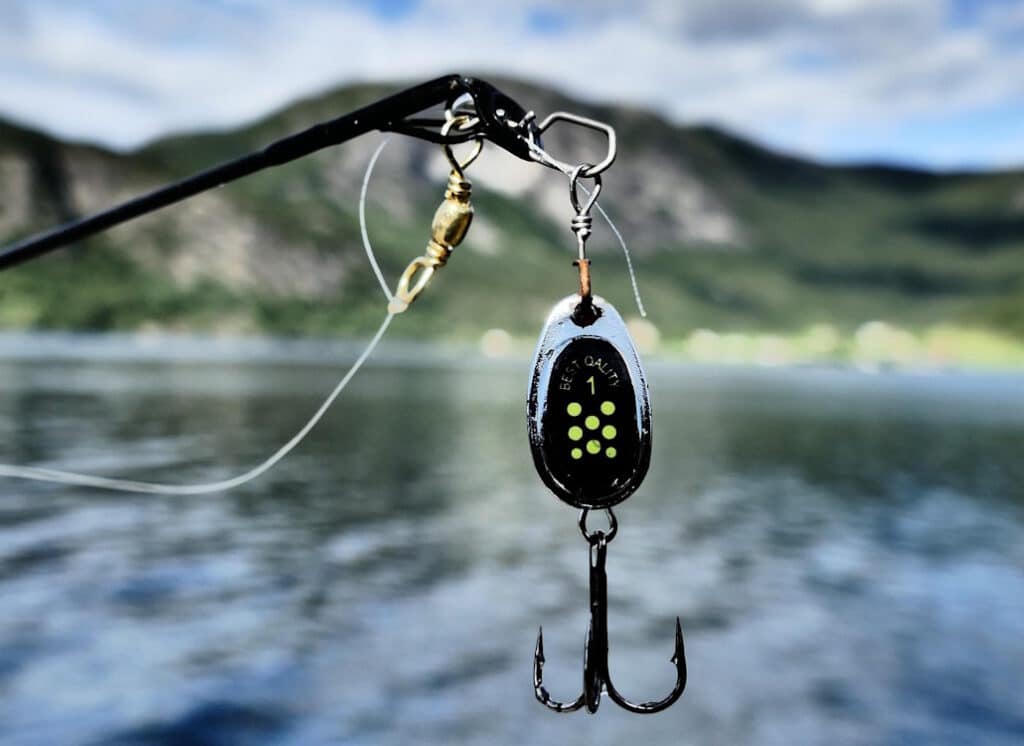 spinnfisch_in_daenemark